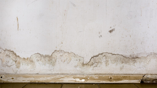 Your Trusted Experts for Plumbing Leaks in Your Home in Bethel Park